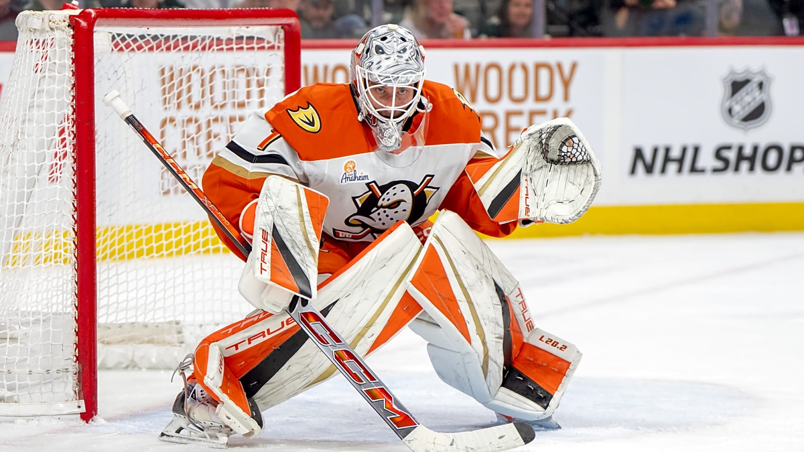 Why Anaheim Ducks Will Make the Playoffs in 2025-26