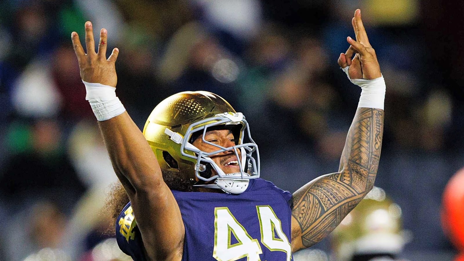 Josh Burnham And Junior Tuihalamaka Are Ready To Lead Notre Dame&#39;s Defense End Unit