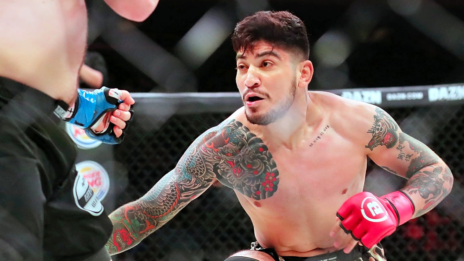 Dillon Danis brawls with Khabib Nurmagomedov's team | VIDEO