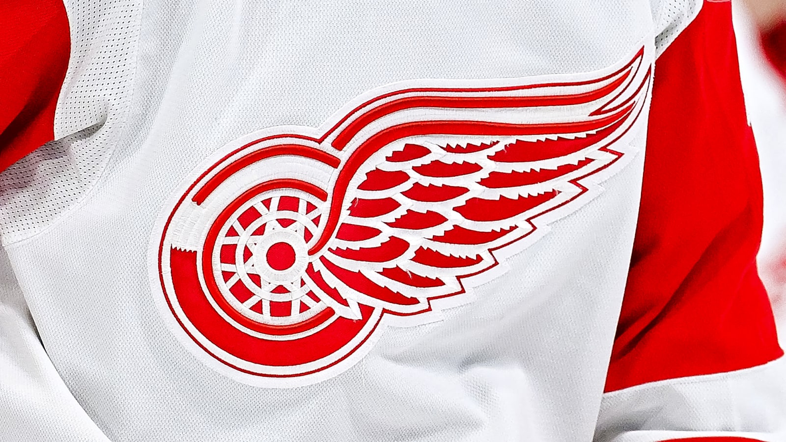 2025-26 NHL Prospect Pool Breakdown: Detroit Red Wings’ Top 10
