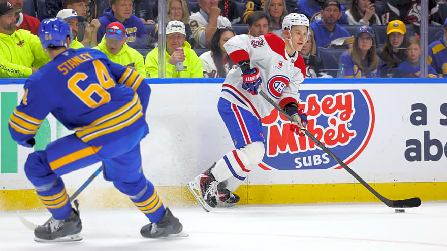 How Do You Deploy a Big, Slow D-man? The Logan Stanley Question