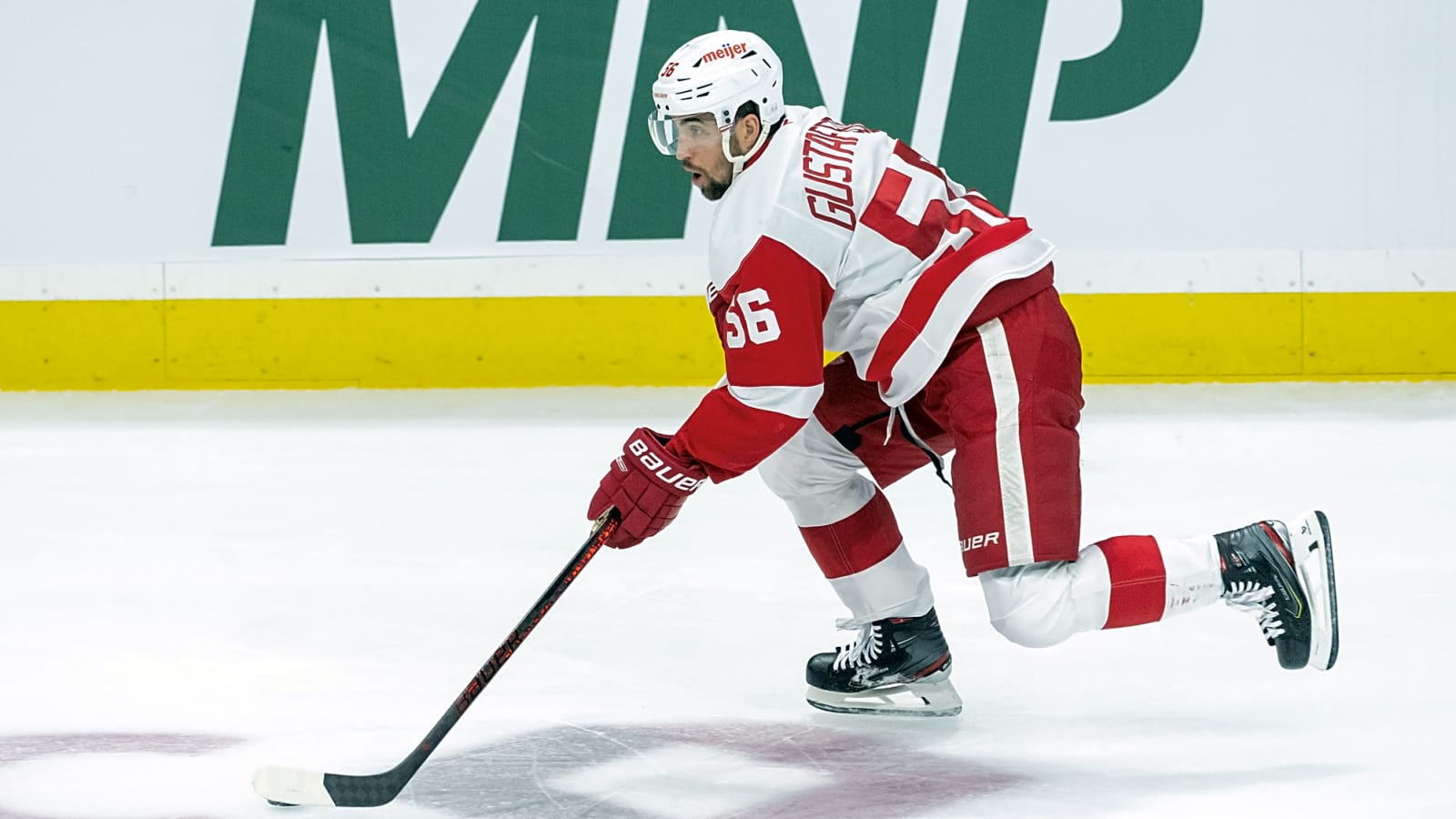 Detroit Red Wings Recall Defenseman