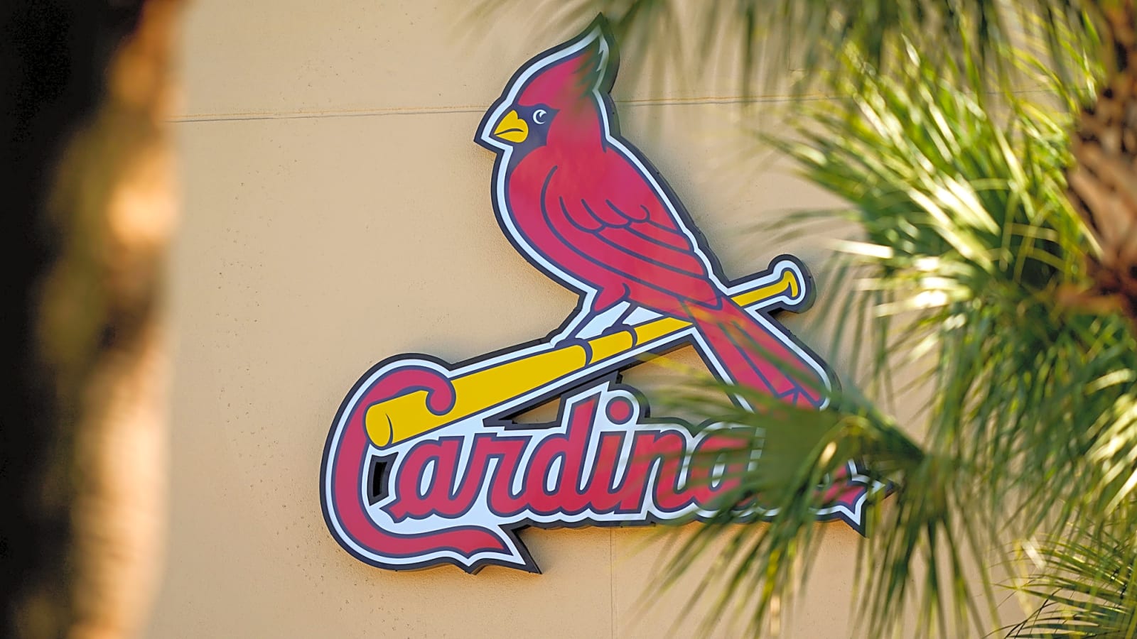 Cardinals Select Fiery Lefty Liam Doyle with Number One Pick