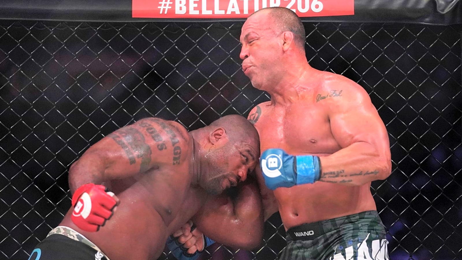 Wanderlei Silva Shamed for Getting Knocked Out by Security in Post-Fight Brawl After Spaten Fight Night DQ Loss