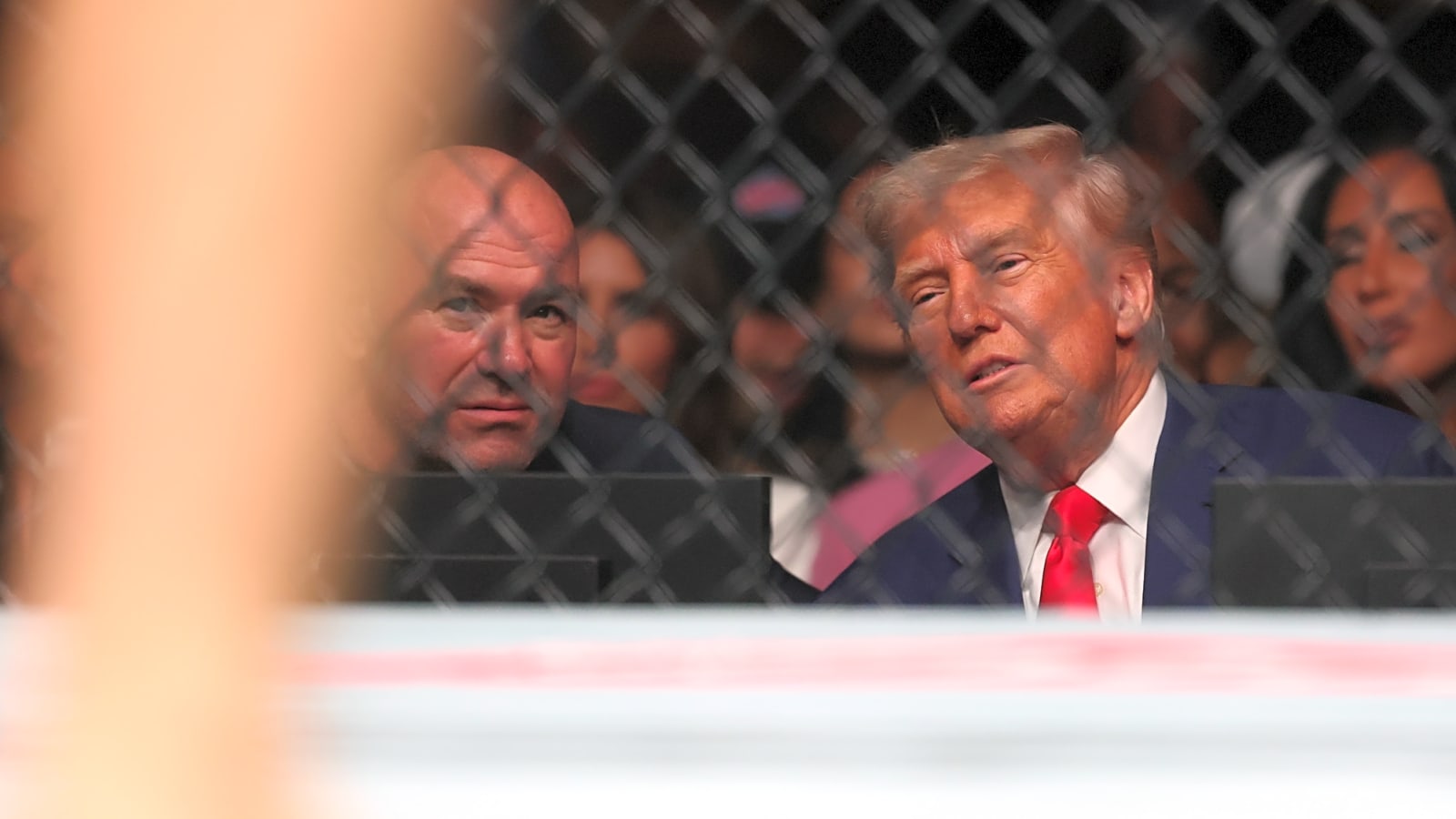 UFC White House event to take place on the South Lawn