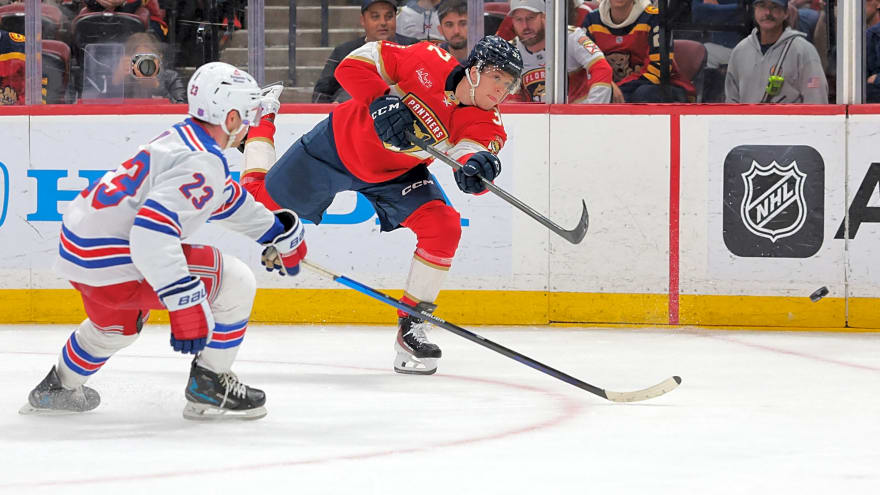 Detroit Red Wings Place A Forward & Defenseman on Waivers