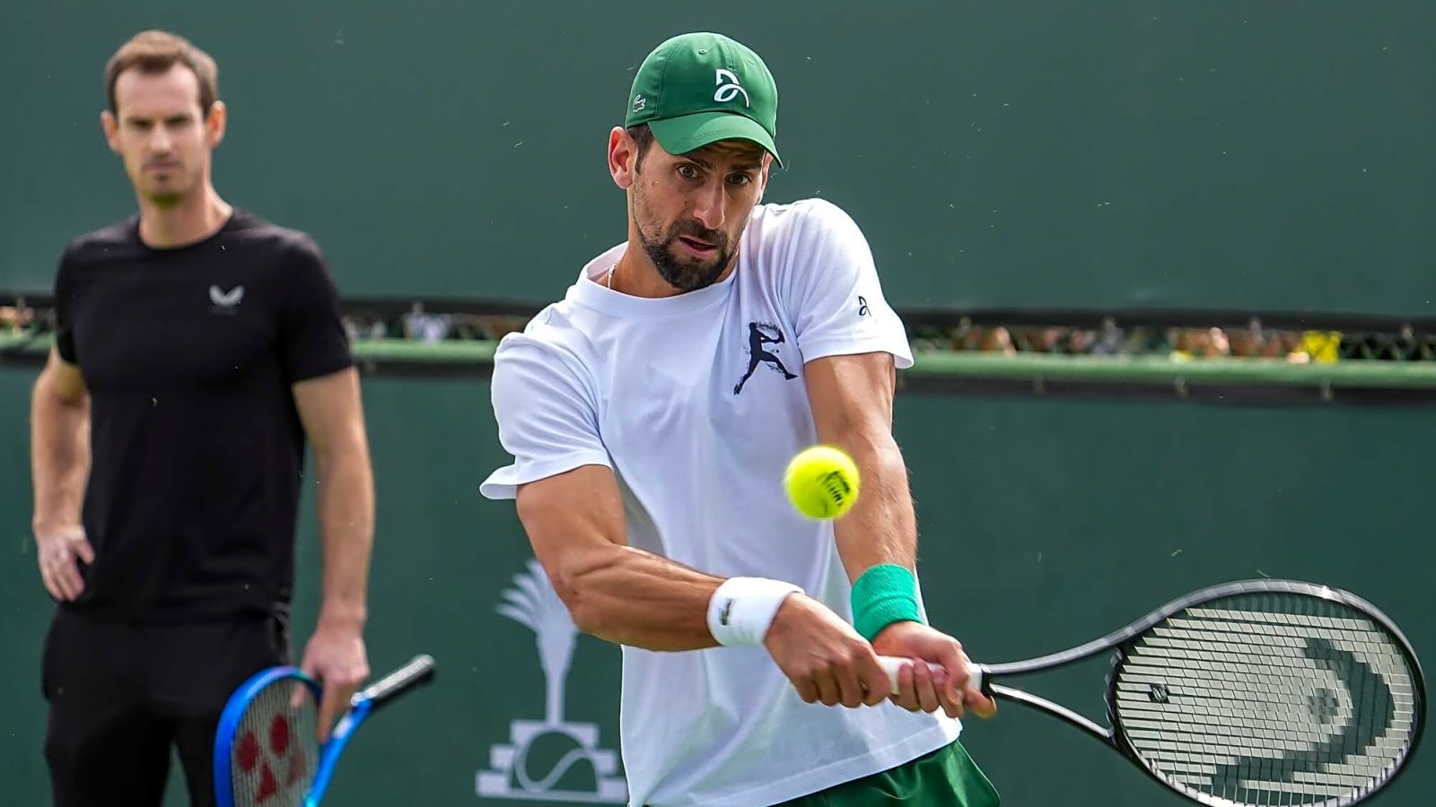 'Not as early as this': Former world number one highlights why Andy Murray&#39;s decision was surprising to coach Novak Djokovic