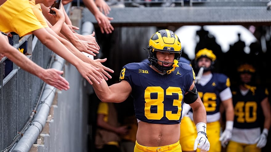 Michigan TE apologizes following leaked messages directed at coach