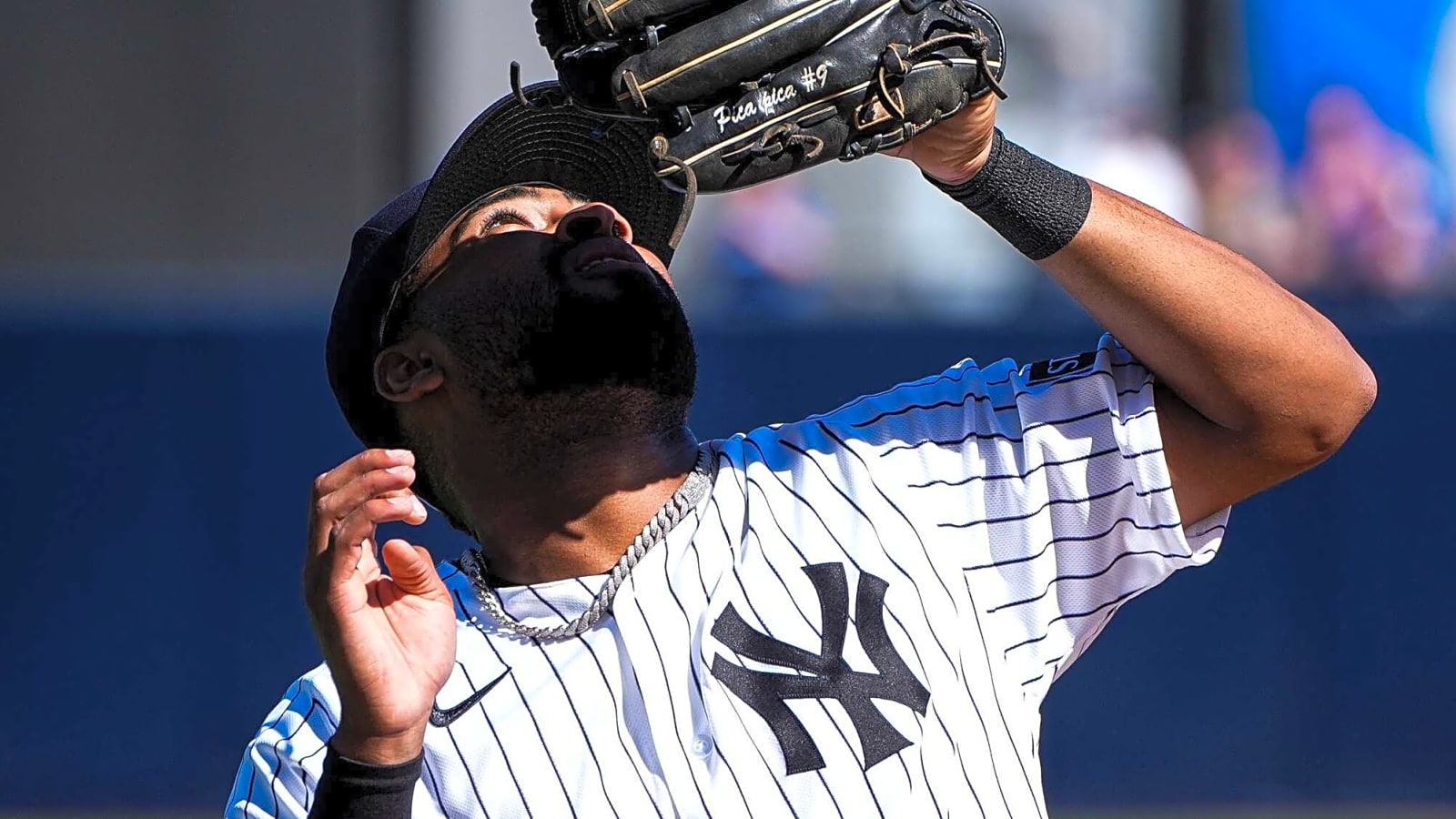 Yankees Select Alexander Cornielle