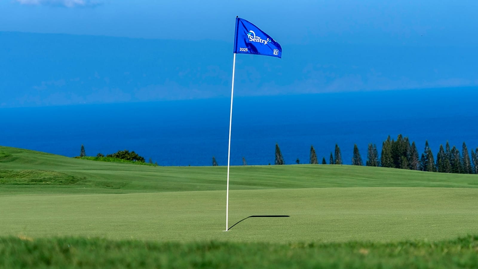 Caddie Banned From Traveling To The Open Championship