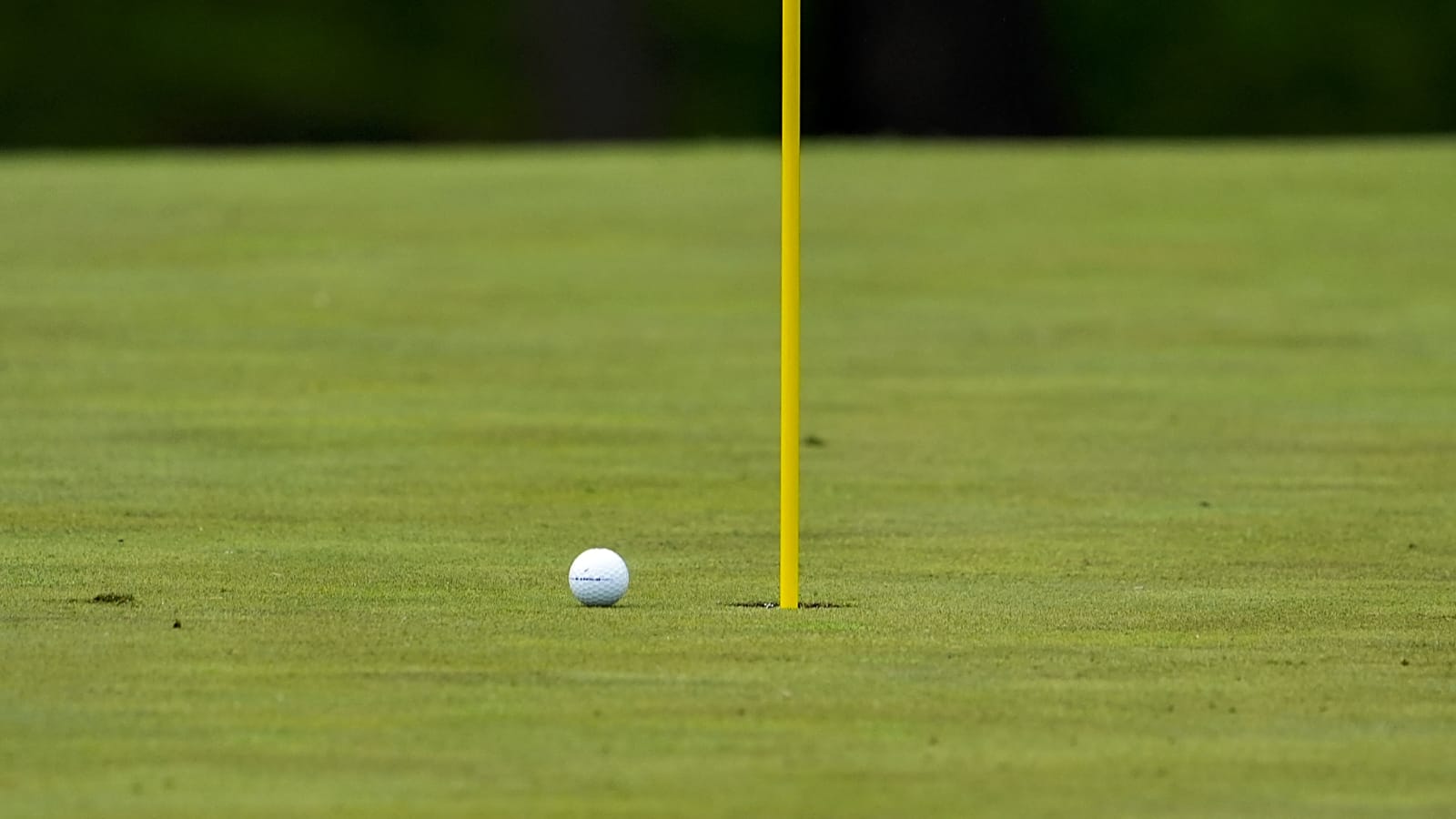 Andrew Green Takes on CCNC's Three-Architect Cardinal Course