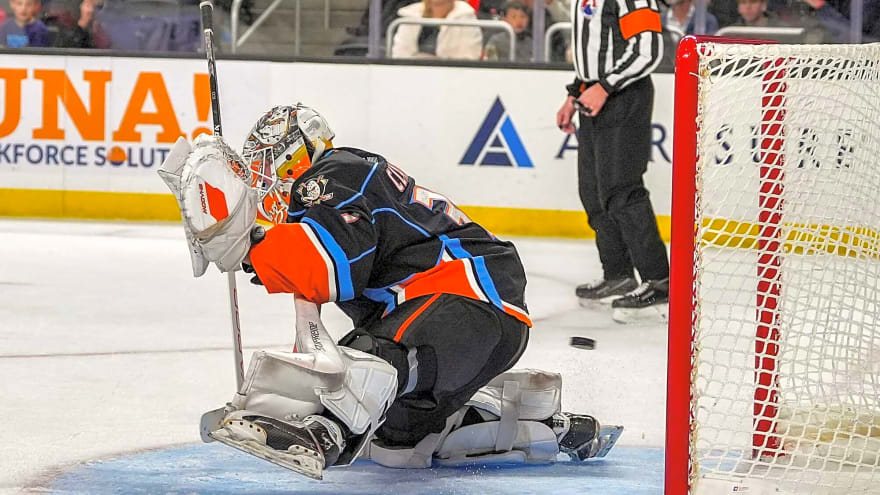 Ducks sign pair of players to two-way deals