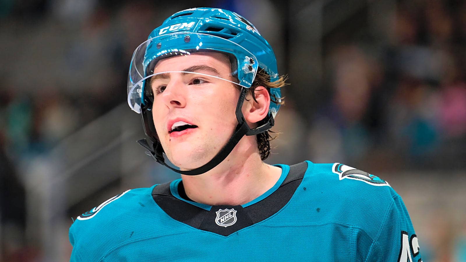 Sharks Recall Luca Cagnoni