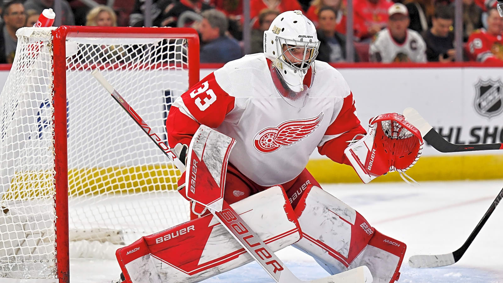 Mammoth, Red Wings Swap Sebastian Cossa, Pick #23