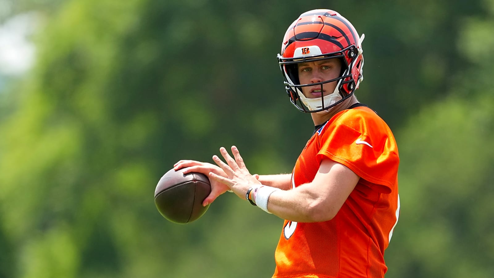 'Who’s Been to a Super Bowl?': Internet Left Divided Over Joe Burrow vs Lamar Jackson Debate
