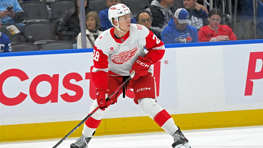 Michael Brandsegg-Nygård is Ready for the Red Wings