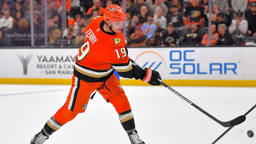 Ducks Activate Troy Terry, Place Leo Carlsson On Injured Reserve