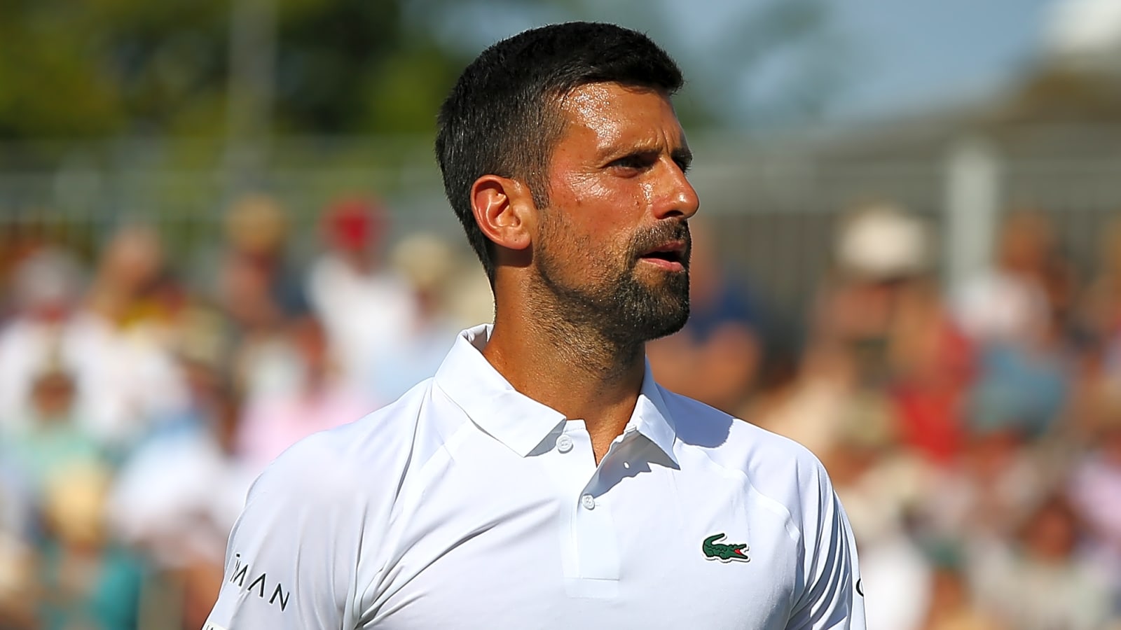 Novak Djokovic Reveals What Makes Carlos Alcaraz a Difficult Opponent at Wimbledon