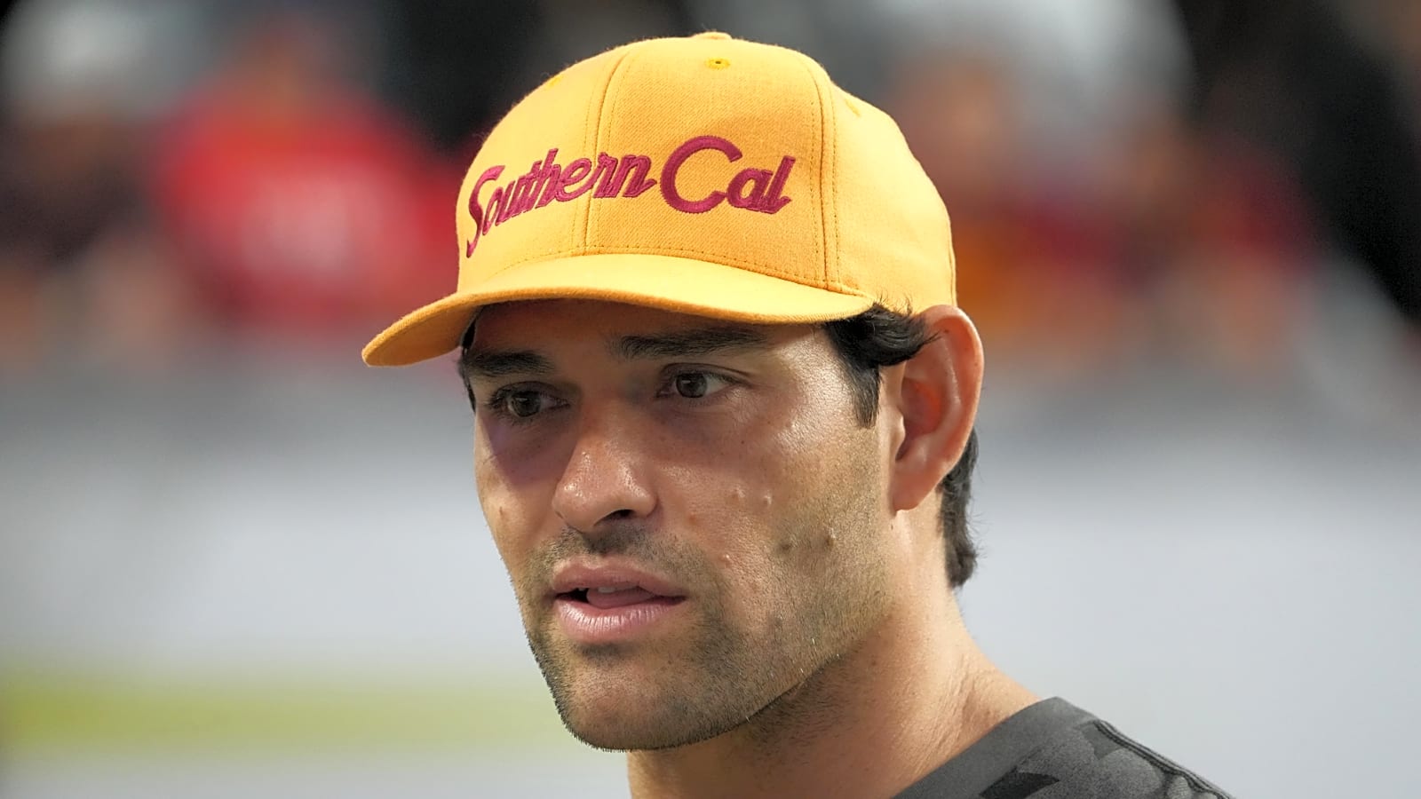 Mark Sanchez critically injured in stabbing