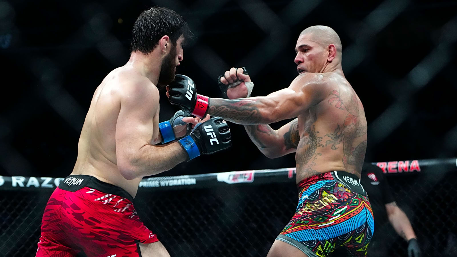 'It’s Not UFC’s Fault' – Alex Pereira Clears Air Around Wild Tweet Directed at Dana White and Company