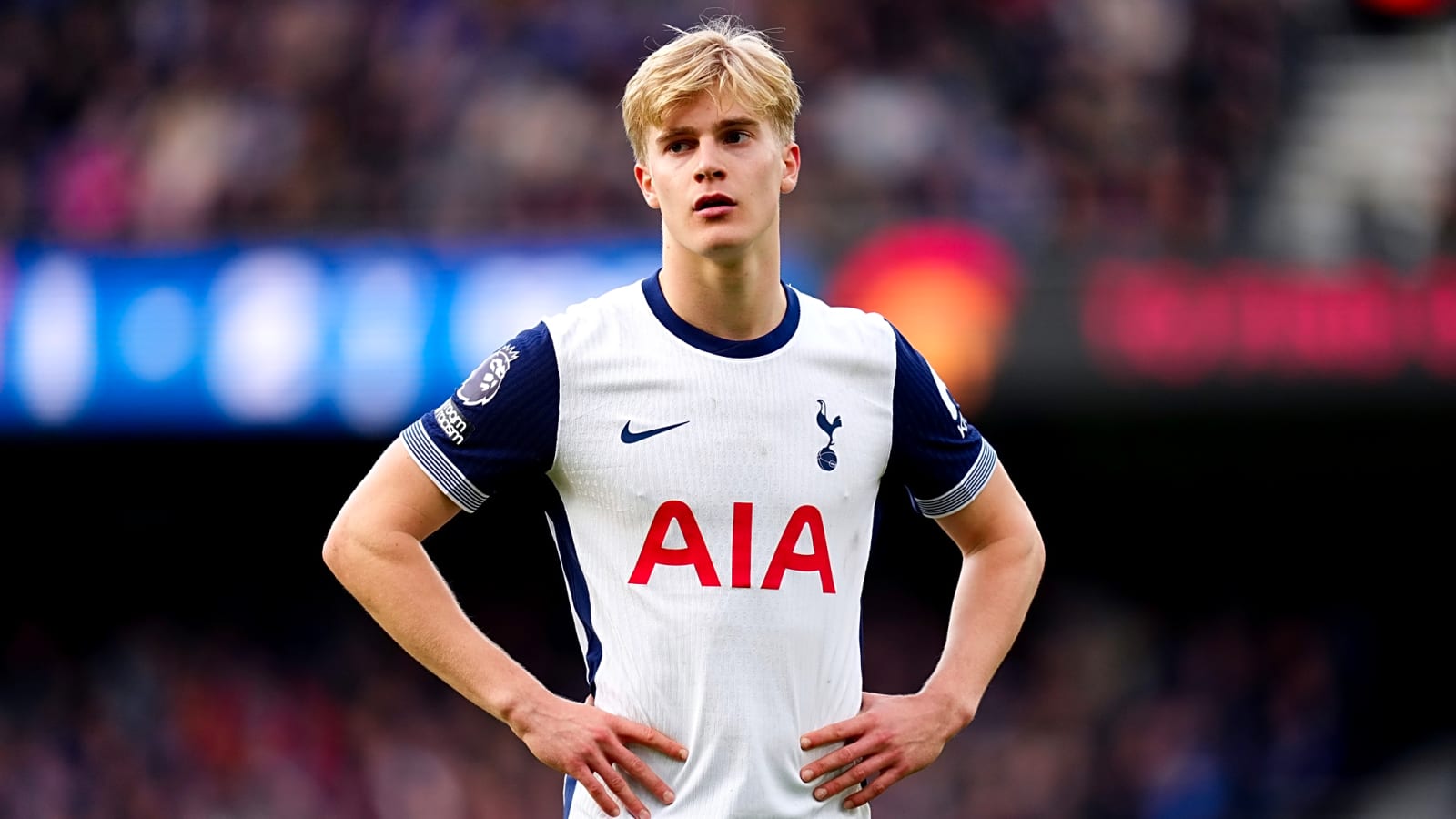 Lucas Bergvall to probably miss rest of season with injury at Tottenham- Ange Postecoglou