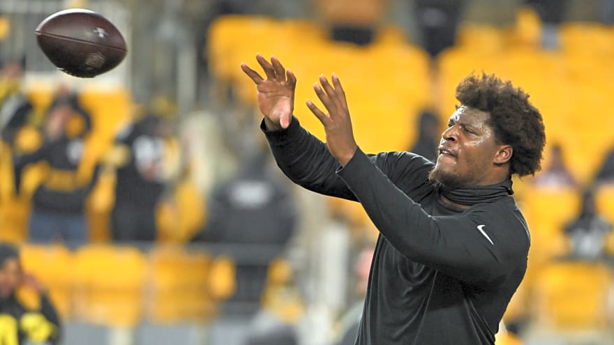 Steelers Fans May Hate Darnell Washington's Reduced Role In 2026