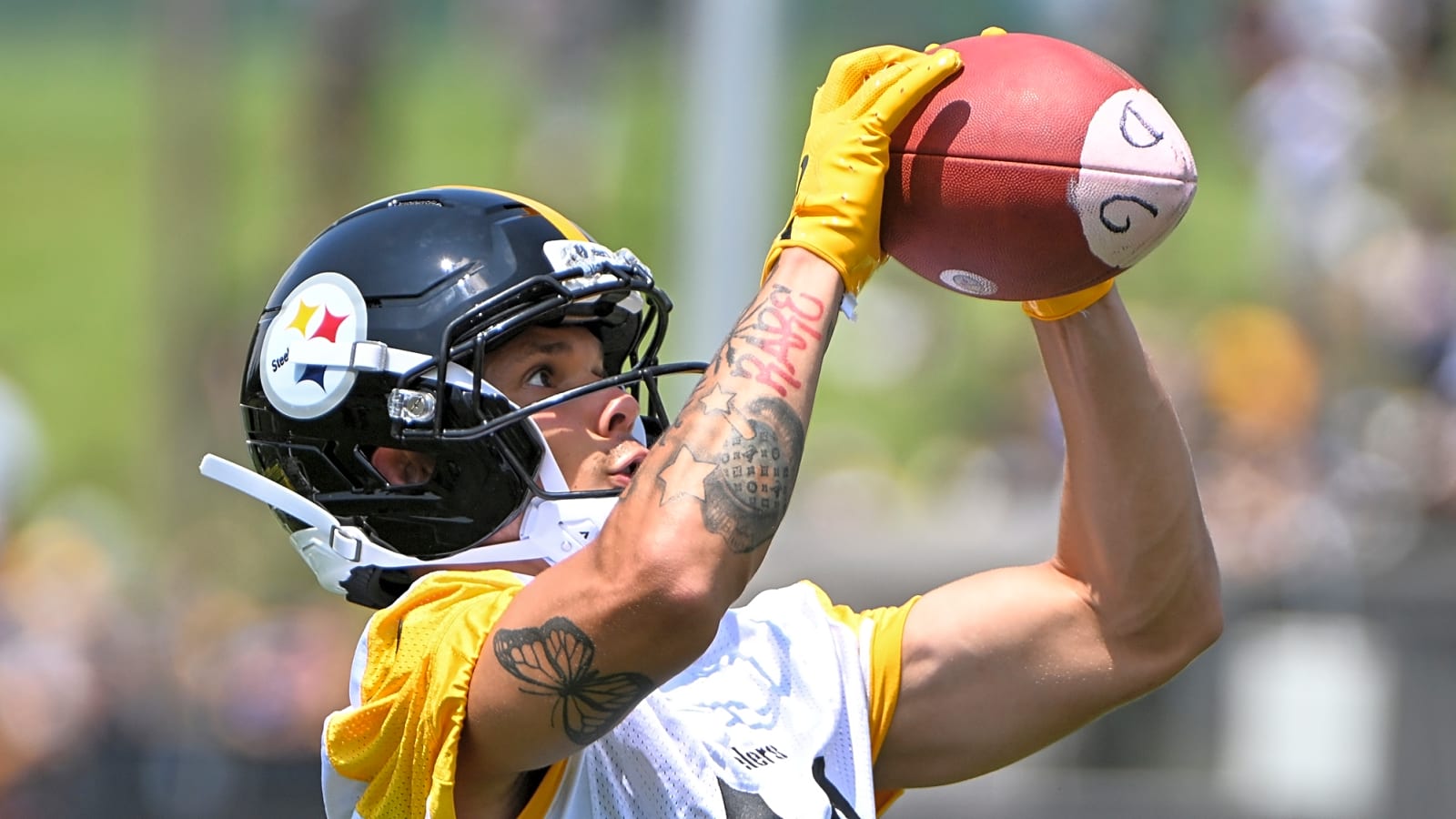 Steelers&#39; Roman Wilson Breaks His Silence After Crazy Catch: 'Go Get It Mentality'