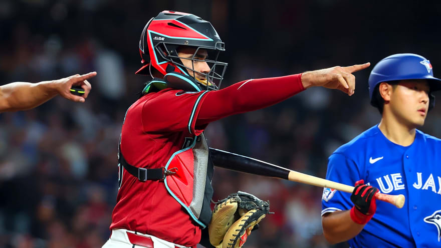 Diamondbacks Outright Aramis Garcia, Jesus Valdez