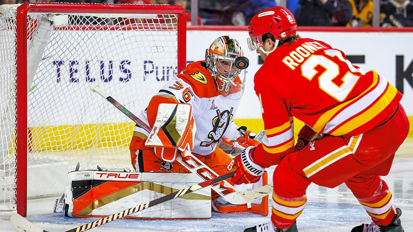 Detroit Red Wings Wrap Up Busy First Day of Free Agency