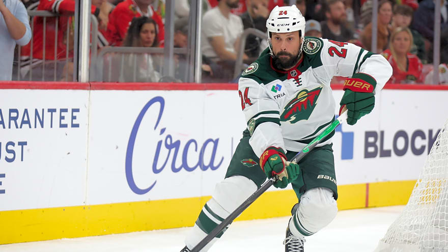 Wild activate Zach Bogosian, Nico Sturm from IR