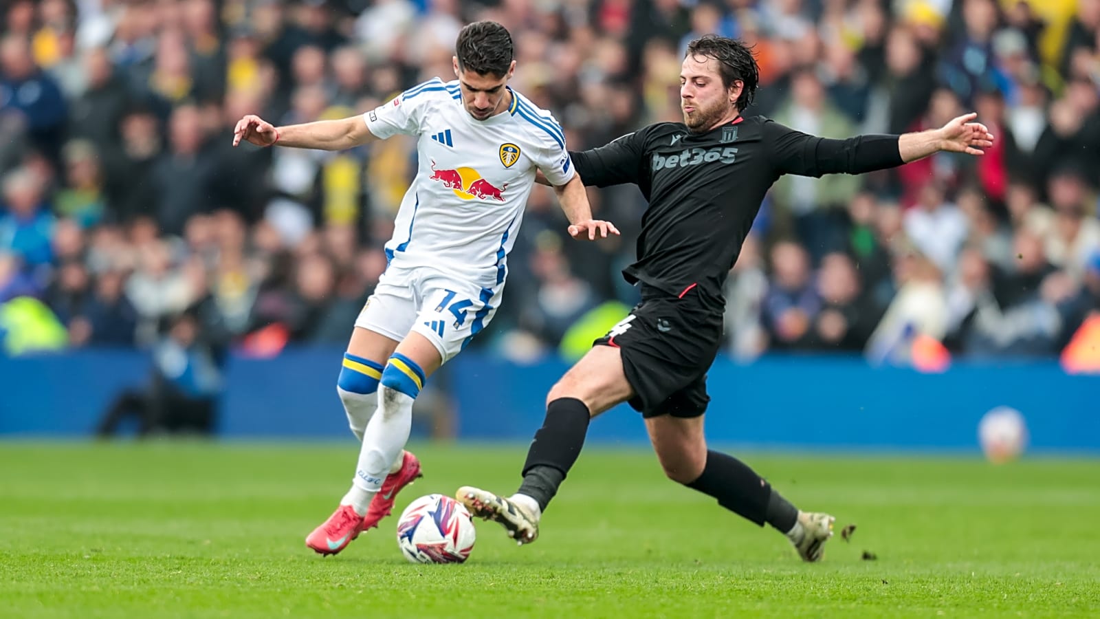 Everton to battle Leeds United for versatile Tottenham attacker