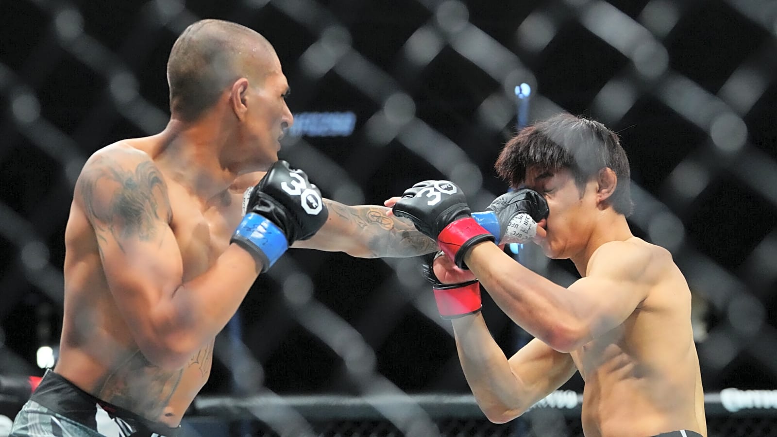 UFC Vegas 108: Taira vs. Park live results