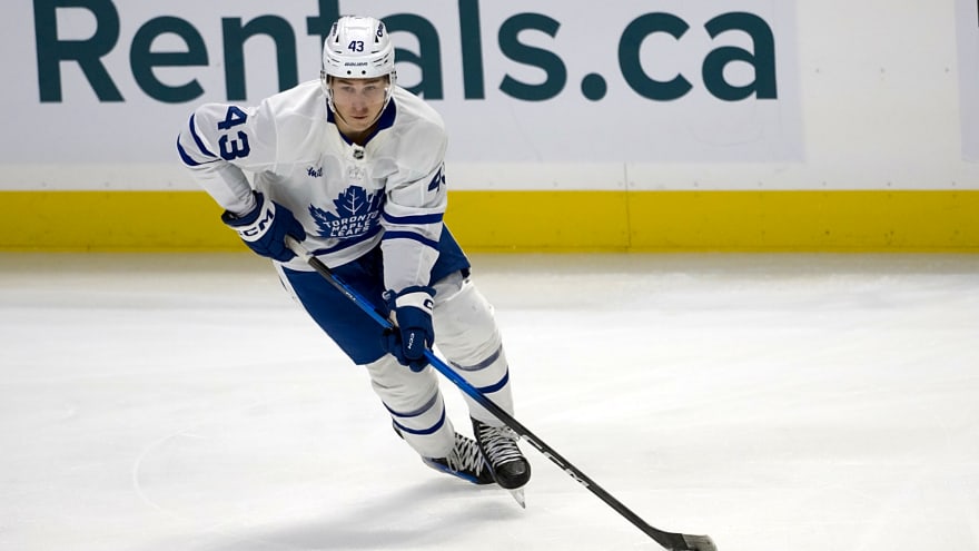 Maple Leafs Recall Luke Haymes