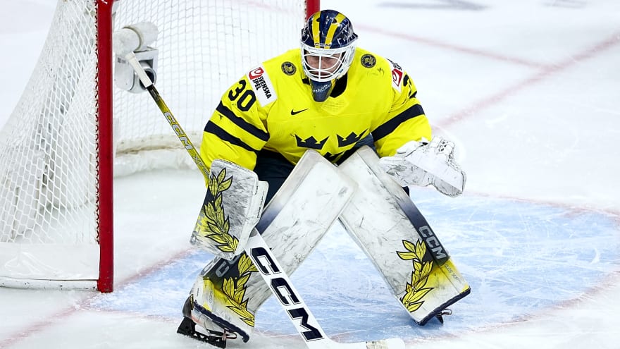 Blues Goalie Prospect Named Finalist for HockeyAllsvenskan MVP in Sweden