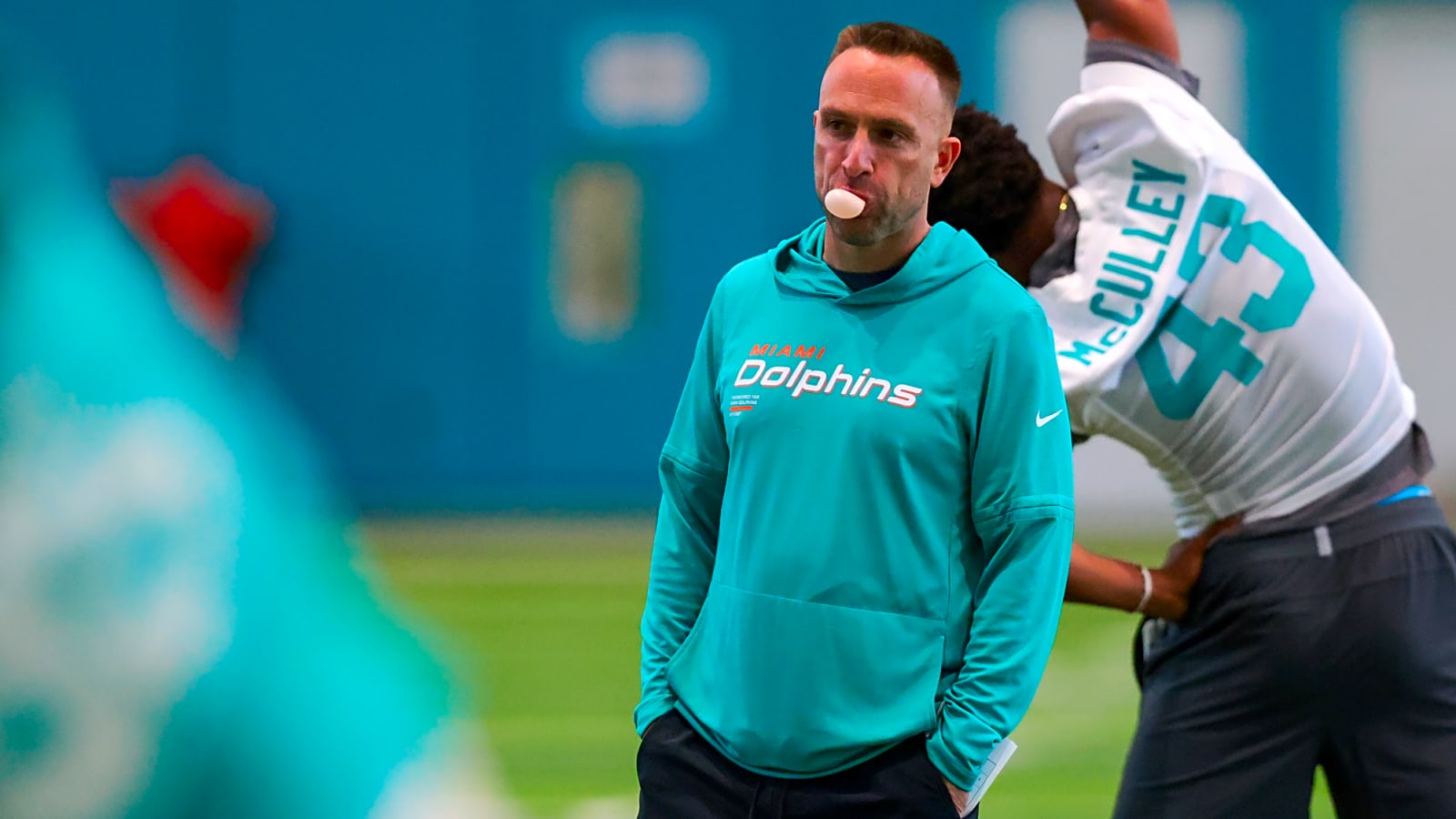 The Foundation of the Miami Dolphins