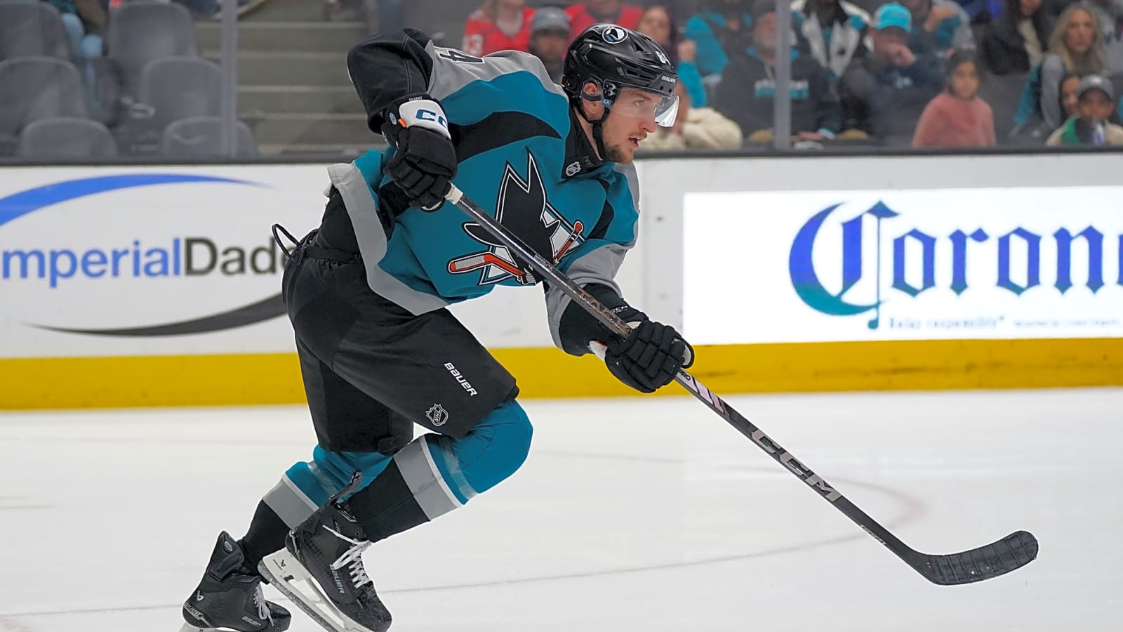 Sharks Recall Pavol Regenda