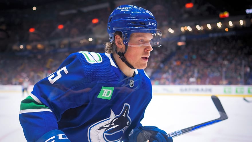 Detroit Red Wings Reassign Sheldon Dries