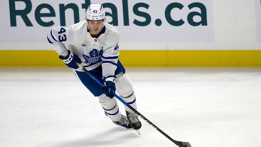 Maple Leafs Reassign Luke Haymes, William Villeneuve