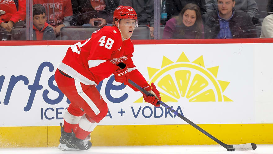 Red Wings Place Jonatan Berggren On Waivers