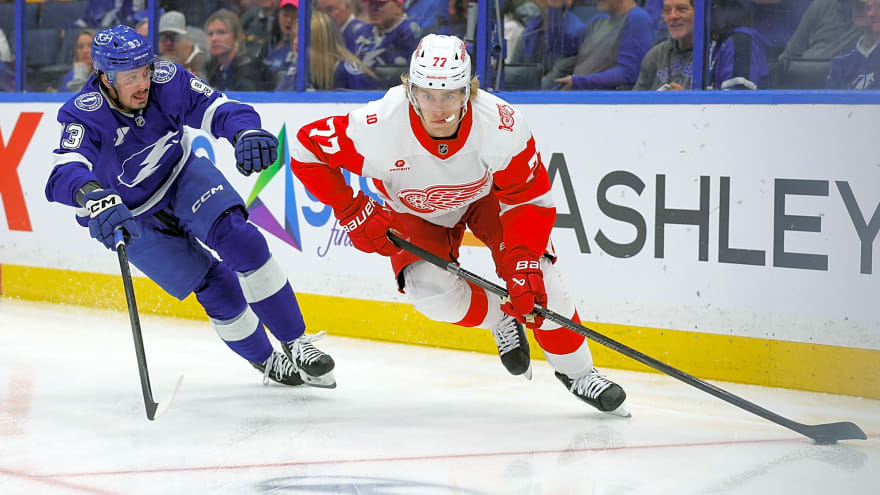Are the Red Wings Trying to Solve the Wrong Problem?