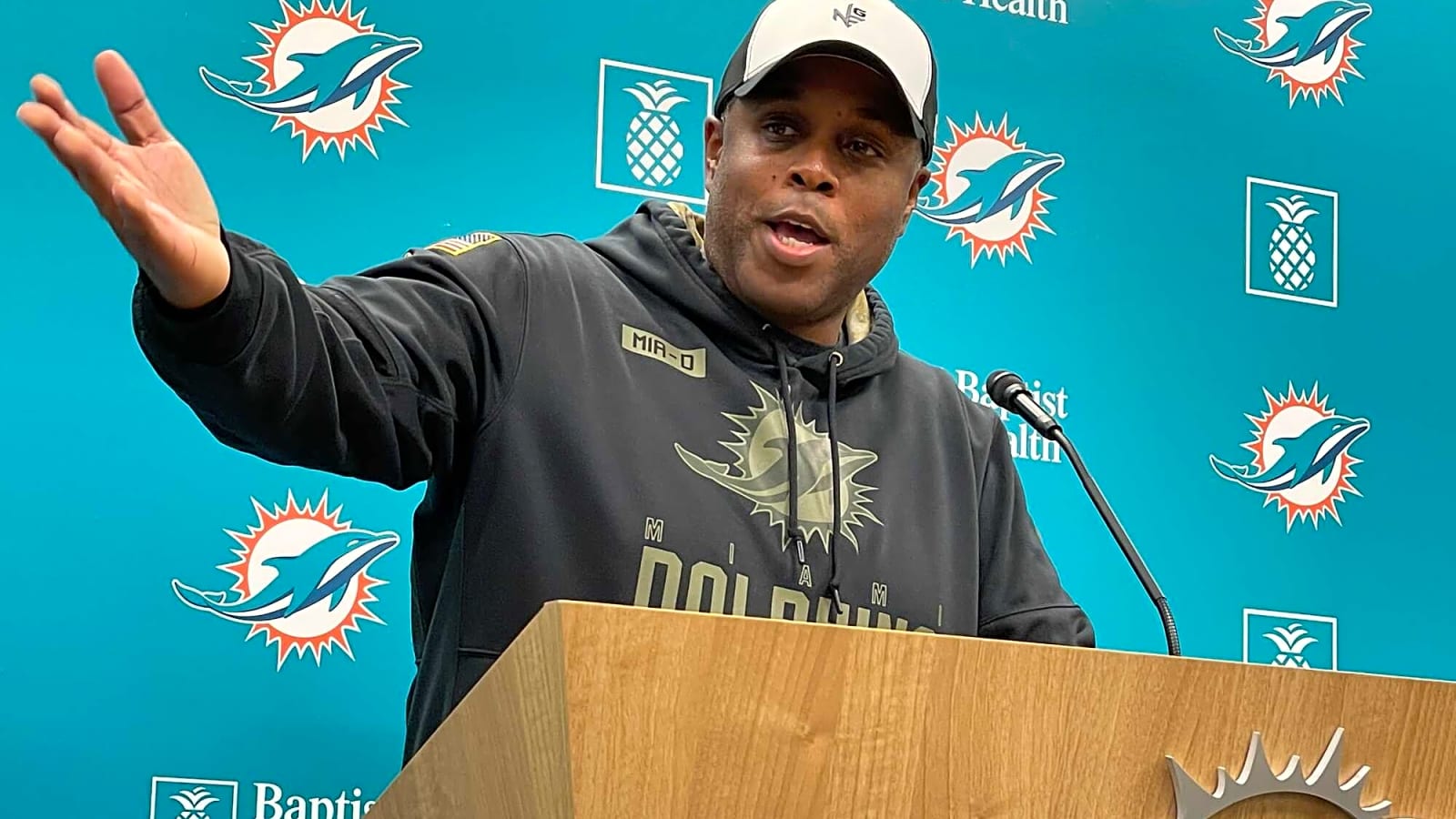 When the Dolphins Make You Look Stupid