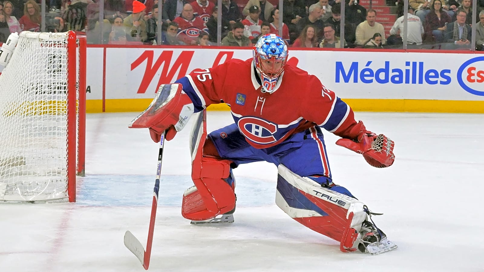 Everything points to Jakub Dobes being the starting goalie tonight