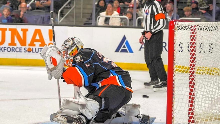 Ducks sign pair of players to two-way deals