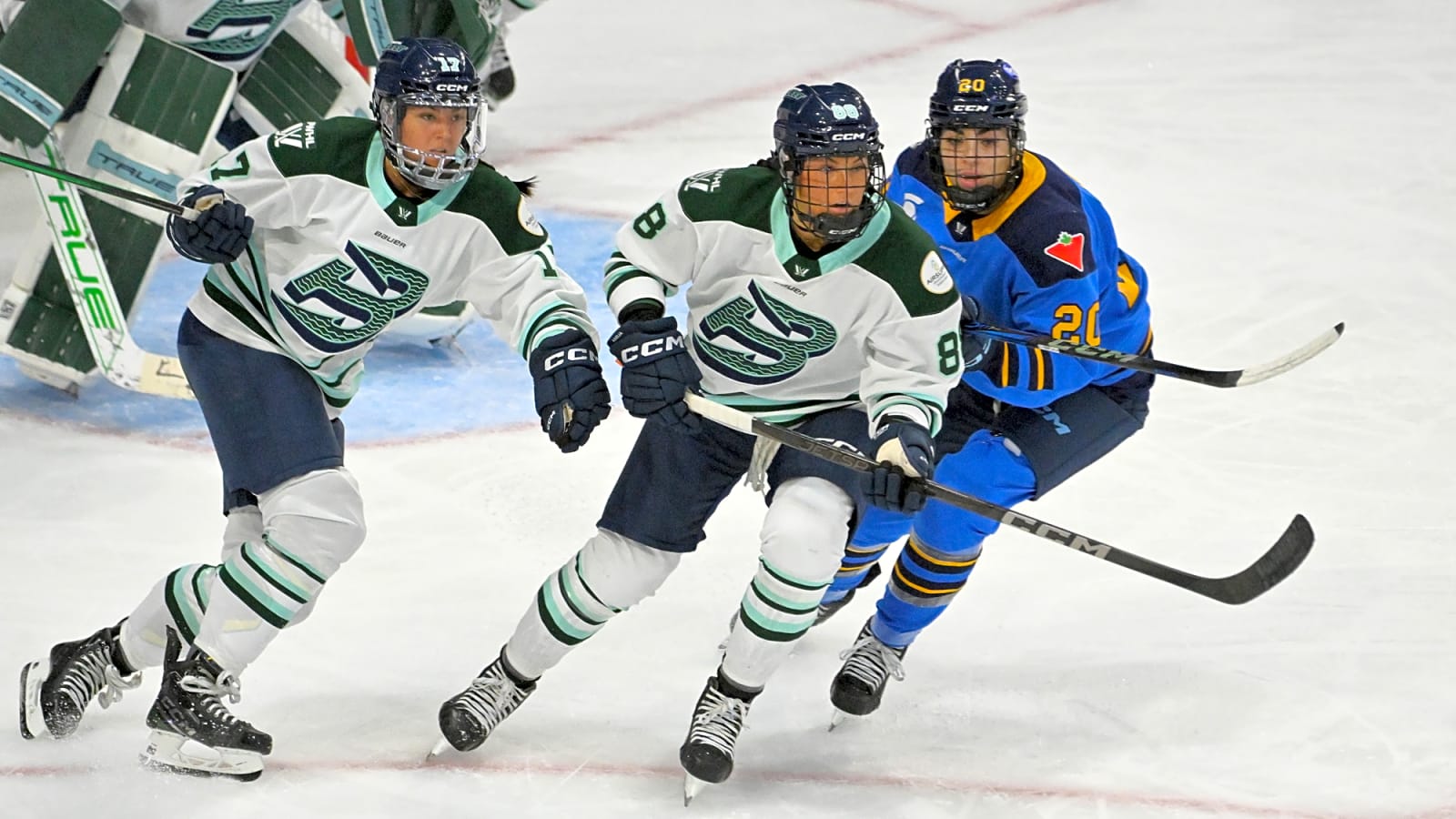 PWHL Announces Expansion Draft Process