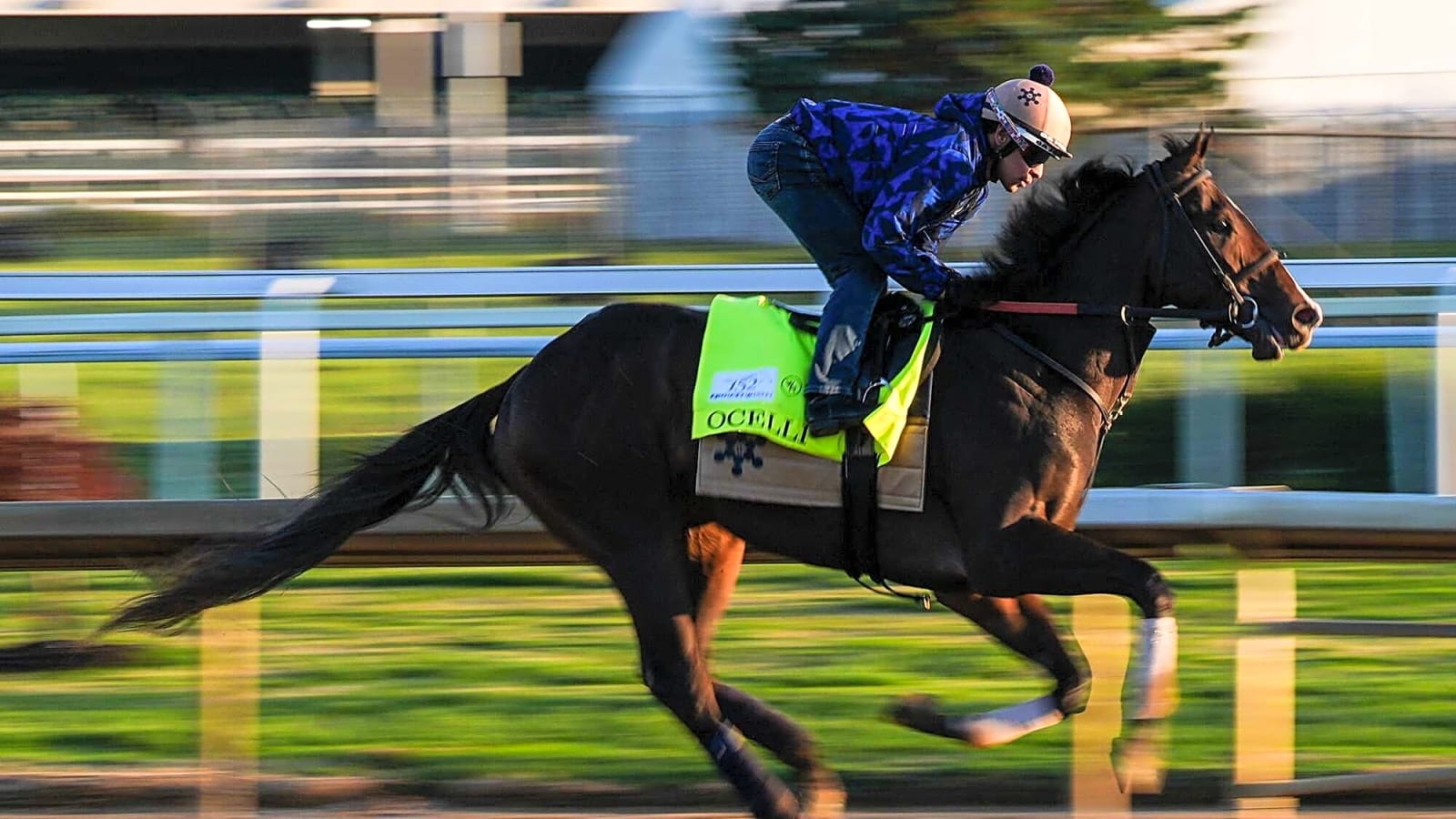 2026 Kentucky Derby horse Ocelli gallops on the track