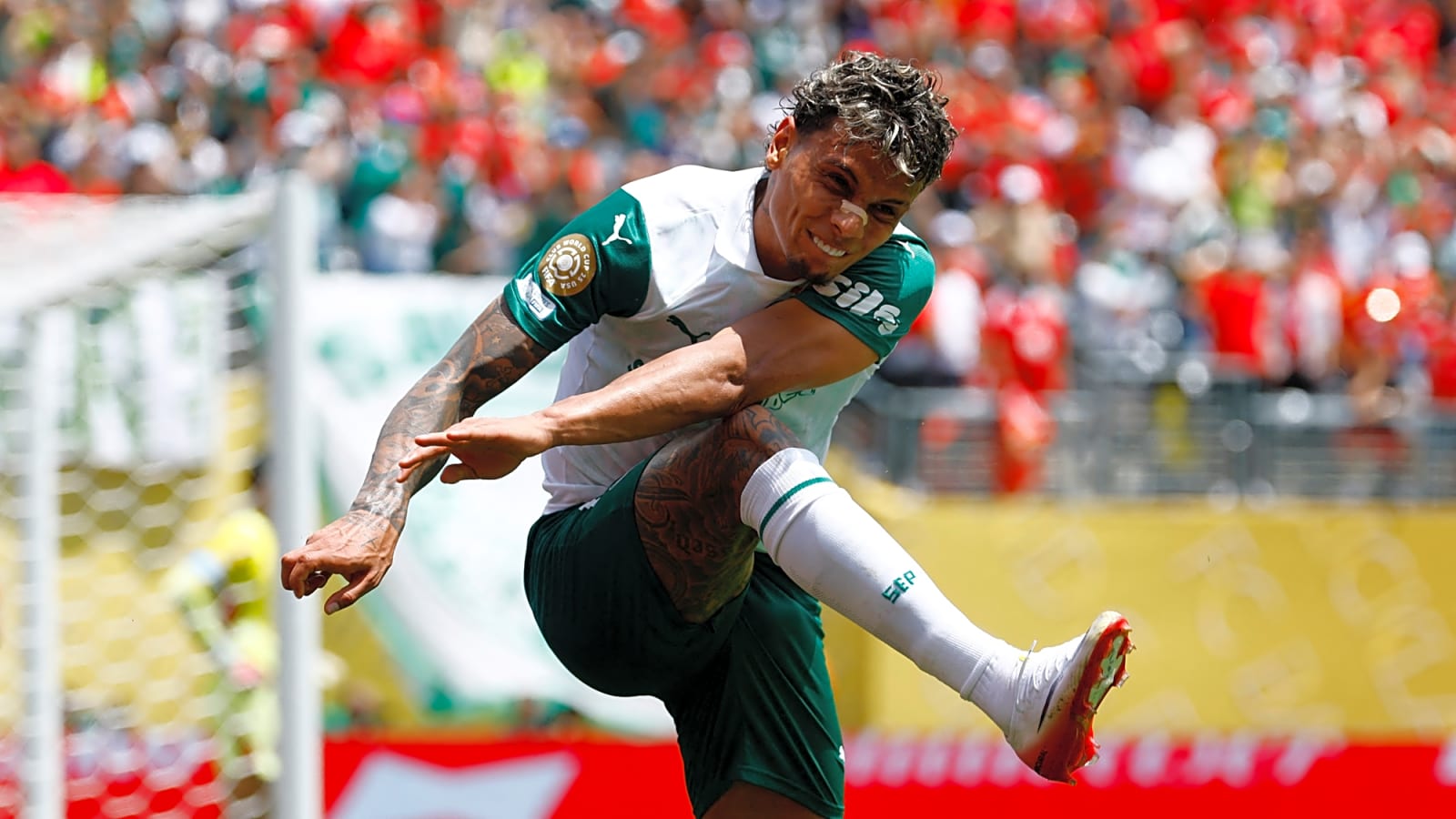 Brazilian giants ready to sell Tottenham target for €25m plus this summer