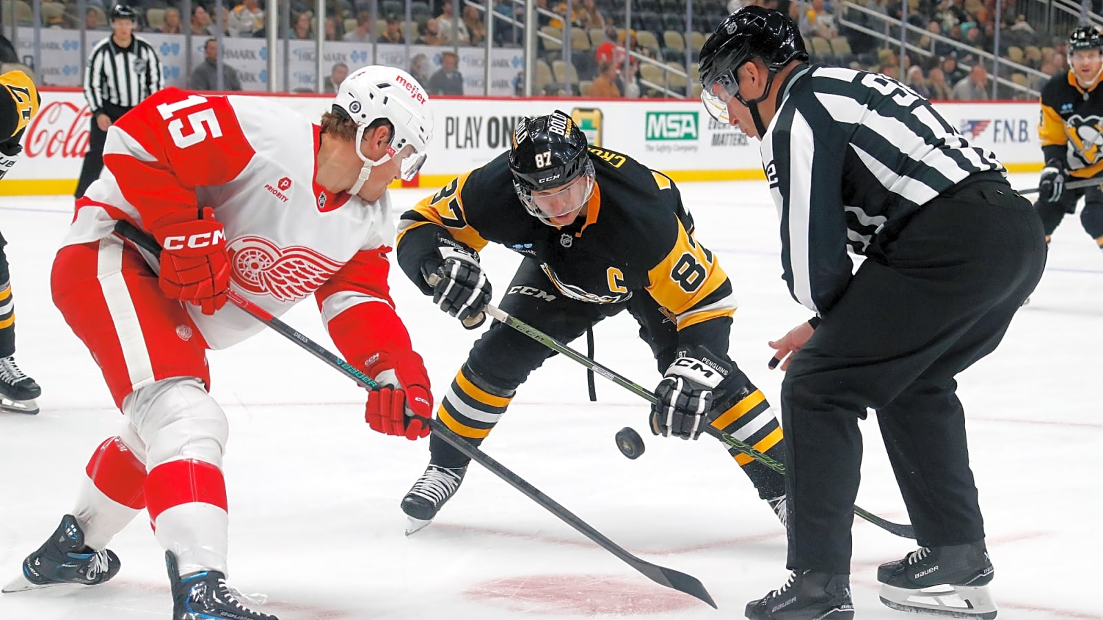 Detroit Red Wings Place Six on Waivers