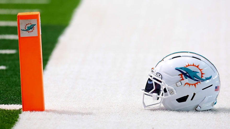 Dolphins Name Daniel Sillman As CEO