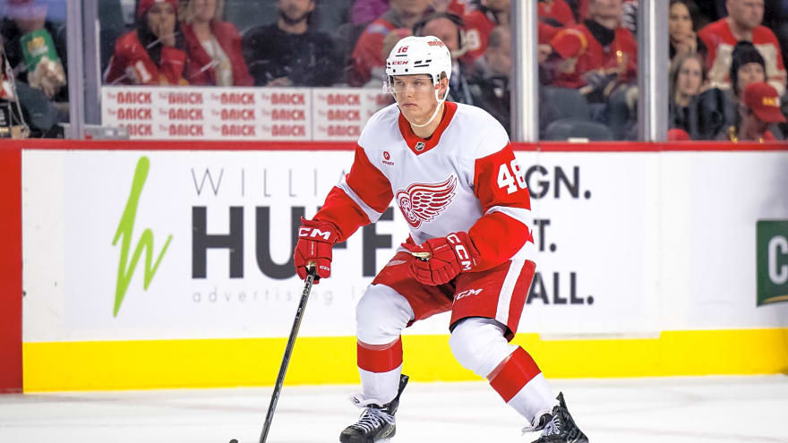 Red wings veteran set for watershed season