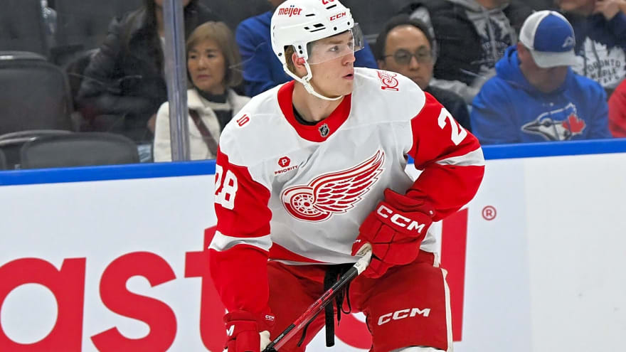 ‘He’s a bull in a China shop’: Red Wings’ Brandsegg-Nygard making most of trip to AHL